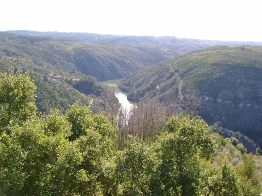 A Casa Da Carmita Βίλα Pedrogao Grande Εξωτερικό φωτογραφία